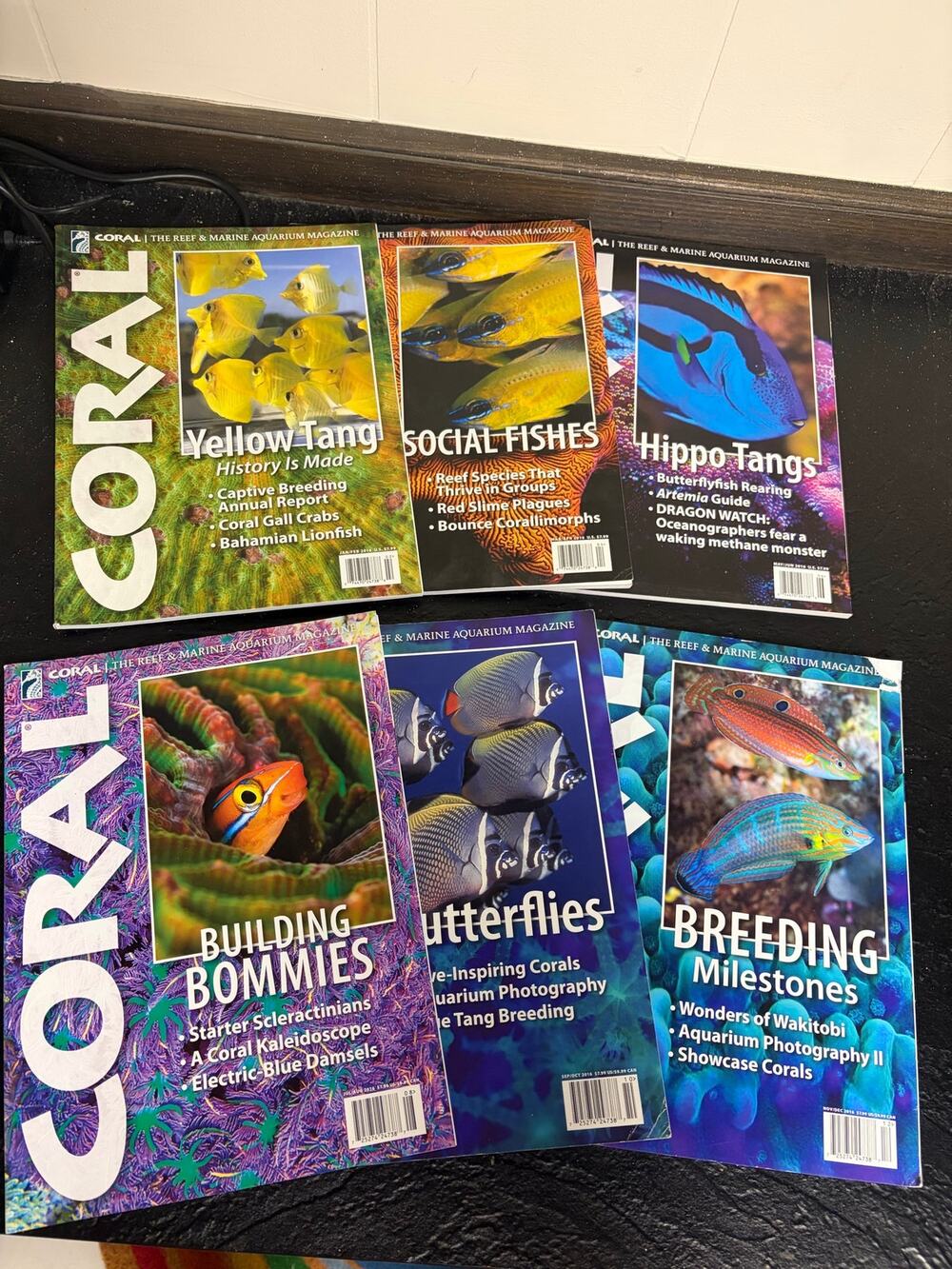 Coral magazine 2016 editions